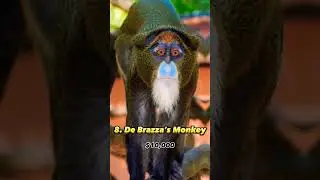 Top 10 most expensive Pets in the world 😱🔥 | #shorts #shortsviral