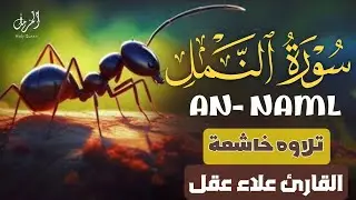 سورة النمل🐜 كاملة تلاوة هادئة 😴 - علاء عقل Sourate An-Naml - Récitation  Alaa Aql Relaxante l