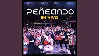 Cumbias 1 (En vivo)