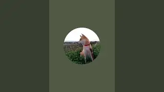 新曲　　冬の歌