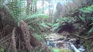 Prospecting A New Undiscovered Gold Bearing Creek with David Buckle