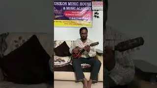 Mandolin Player #viral #viralmusic #ytshorts #trendingshorts #musicalinstruments #mandolinplayer