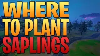 Where to plant saplings at Stumpy Ridge, Fork Knife Food Truck, or FN Radio in Fortnite