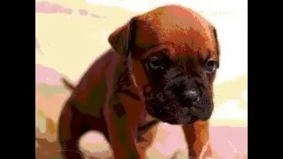 Dog whimpering and whining  -  Sound effects