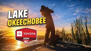 Боксерские маты | Серия Toyota Lake Okeechobee