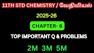 11th chemistry chapter-6 important questions 2025-26 | 11th chemistry 1st mid term important 2025-26