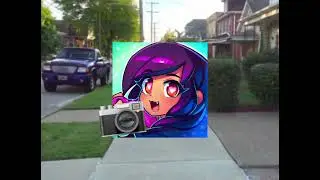 Rip Zane