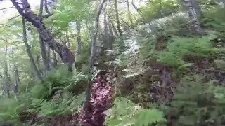 Amethyst Cove, Nova Scotia
