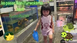 Pasar Ikan Purwokerto ada apa aja ?