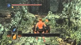 Dark Souls 2 Shaded Mist Lion Mage chest jump trick