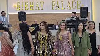 حفلة زفاف صالح  &  شاهة _ زيدان شنكالي في قاعة بيرهات بالاس