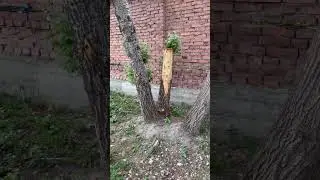 Хотите метать СТАМЕСКОЙ? Пожалуйста!!!