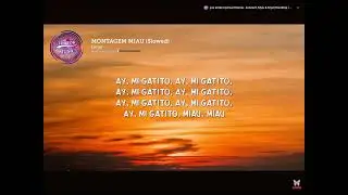 Al gatatito meow meow (lyrics)
