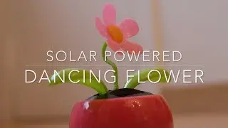 Solar powered dancing flower