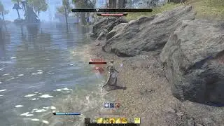 ESO セット装備 フェニックスモスの奇跡 Phoenix Moth Theurge