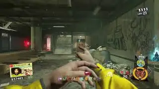 Call of duty infinity warfare Zombies Shaulin shuffle god mod (glitch)