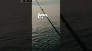 oba tenang tanpa dosis 😃🎣 #fishing #castingbabygt #sabiki