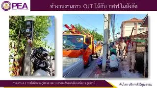 นำเสนอ Data Cleansing GIS กฟฉ.1