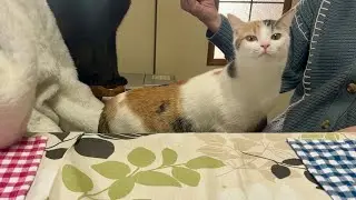 眼球摘出したミー子についての経緯や思うことなどを語りました