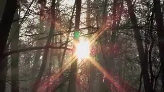 Макс Фадев (Владимир Пресняков) - Мост (TRIBUTE by O.G.)