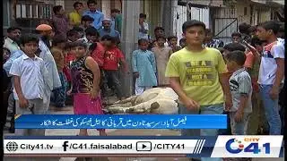 Bull died due to electric shock