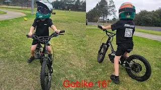 Electric Bikes for Kids and Adults: A Fun and Eco-Friendly Ride for All Ages