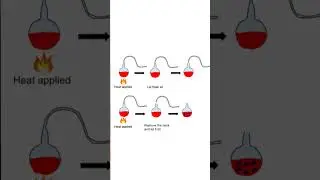 Louis Pasteur's Experiment | Class 12 Evolution #neet #study #shorts