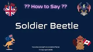 🐞⚔️ How to Pronounce Soldier Beetle? (CORRECTLY) | Pronunciation Planet