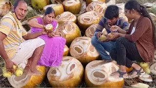 TENDER PALM FRUIT - How to Cutting and Eating Munjulu - Fresh Toddy Palm / Fish Hunting Fishing