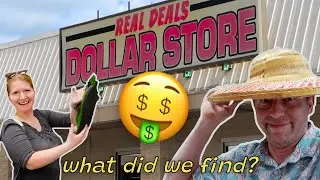 Bargain hunting at REAL DEALS dollar store in Norwich, NY! 🤑