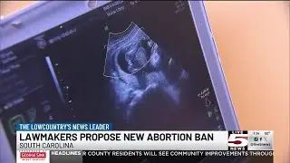 VIDEO: 2 S.C. lawmakers to push for tougher state abortion law this year