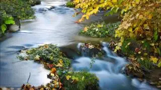 Clearing Guilt with Kuthumi - Aquarius Alchemy