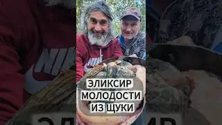 Бульон МОЛОДОСТИ из &laquo;ОТХОДОВ&raquo;?
