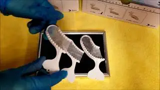 DIBT Disposable Impression Bite Tray