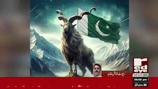 Role of Captain in Pakistan Army &mdash; Why He Is Called the Backbone of the Army?