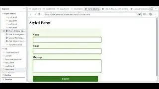 CSS Form Styling Tutorial | Style HTML Forms with Input, Focus & Button Effects