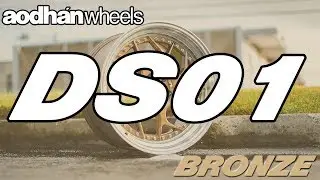 AODHAN WHEELS DS01 BRONZE MACHINE LIP