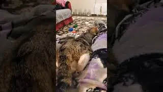 Bedtime!