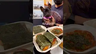 Frenchie puppy eats some musubis! #frenchbulldog #frenchie #puppy #shorts #vlog #cutedog #dog #pets