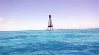 Snorkeling Sombrero Reef and Lighthouse at Marathon Key Florida Beautiful Coral Reef