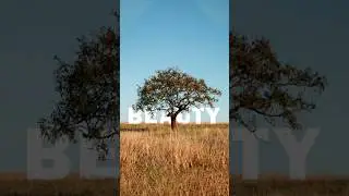 An amazing tip for photoshop users | blend text | blending options | photoshop tips | jzgraphics