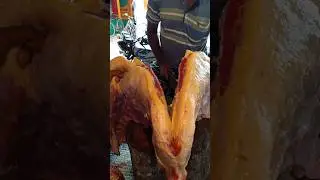 Awesome Sina Meat Cutting #shorts #meat #beef #amazing #beefslice #meatcutter #super #fresh #food