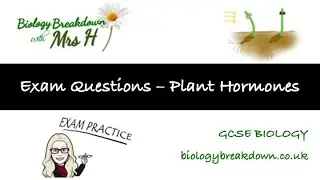 GCSE Exam Questions - Plant hormones