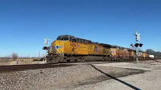 Union Pacific 6254 7888 6820 6180 7366 7930 Smithshire, IL 1-19-26