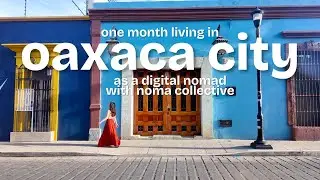 I Lived + Worked in Oaxaca City, Mexico for a Month 🇲🇽 | Noma Collective Experience