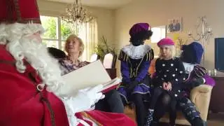 Petraandy