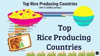 Top Rice Producing Countries (1961 to 2020) | Most Rice Producing Countries in the World | StatsDude