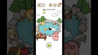 Brain Find Level 117 Quack quack quack #brainfind #brainfindgame