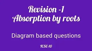 Easy revision# diagram based questions# osmosis# root hair# thistle funnel