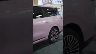 IM LS9 310 CAR Sticker
